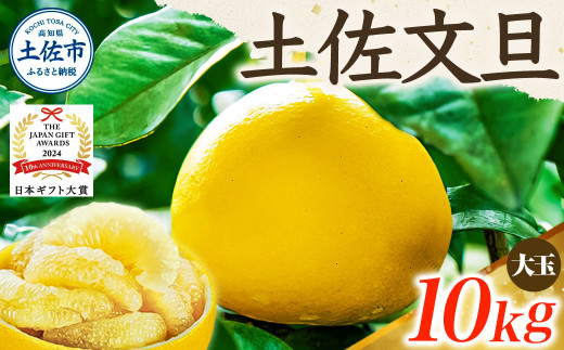 【日本ギフト大賞2024受賞】【先行予約】文旦 大玉10kg（3L～