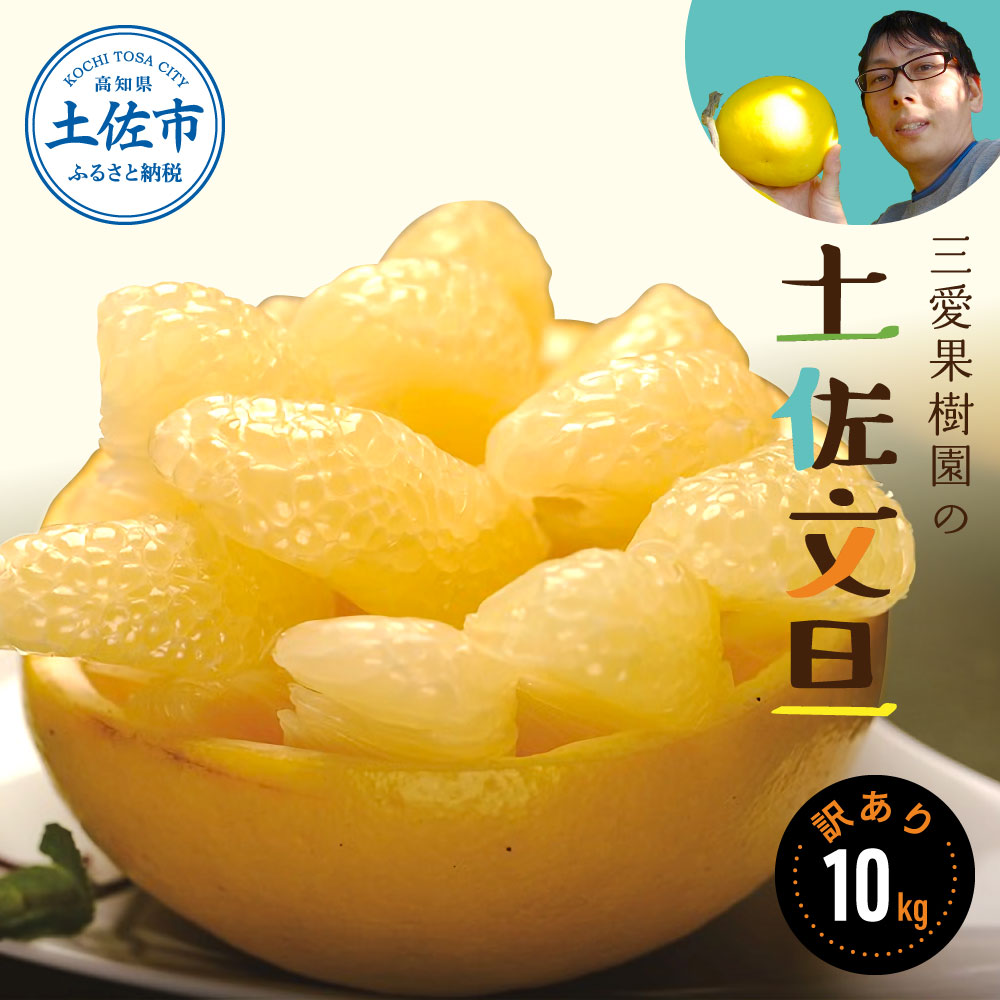 【訳あり】三愛果樹園の土佐文旦10kg　ワケあり 訳アリ
