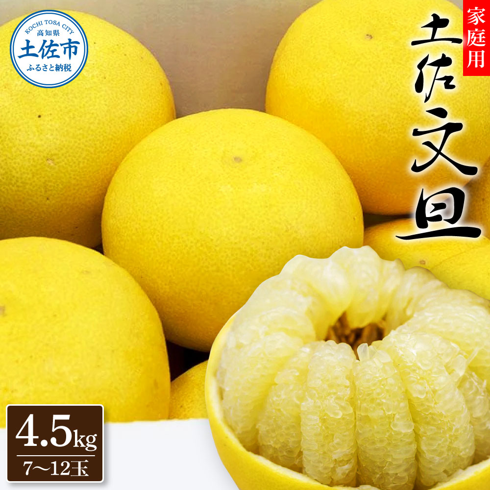 生産者直送　土佐文旦　4.5kg　[サイズおまかせ　2L～4L]　家