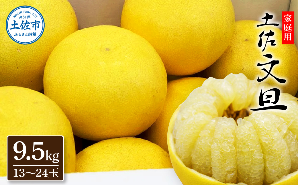 生産者直送　土佐文旦9.5kg[2L～4L]家庭用 ぶんたん ブンタン 