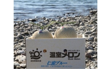 【先行予約】　仁淀ブルー温室メロン　