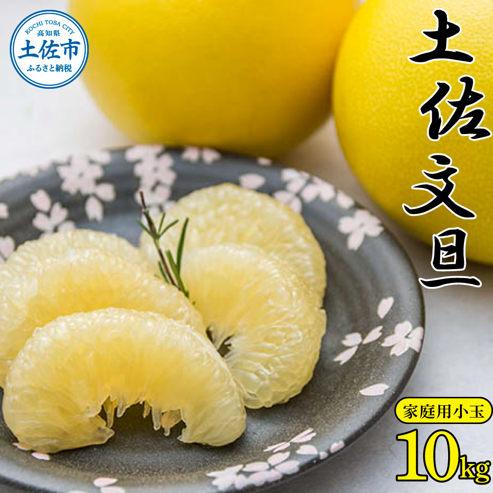 ＜先行予約 2025年2月上旬より順次発送＞高知県産土佐文旦