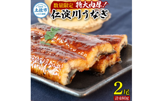 【数量限定】仁淀川特大肉厚うなぎ2尾セット タレ付き 