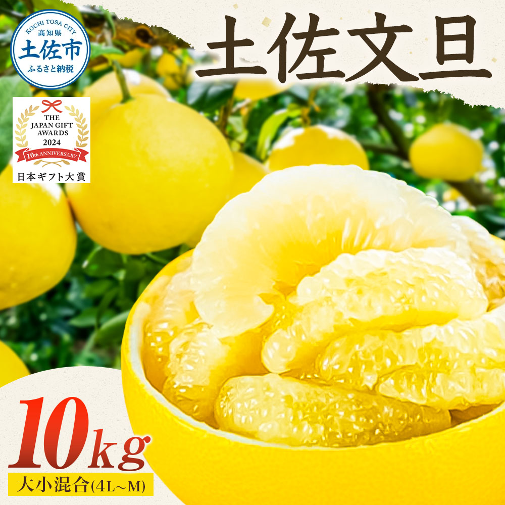 【日本ギフト大賞2024受賞】園主こだわりの土佐文旦 10キロ 