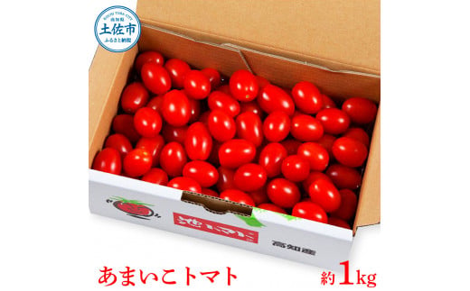 ＜2026年1月下旬より発送＞あまいこトマト 約1kg トマト ミニ