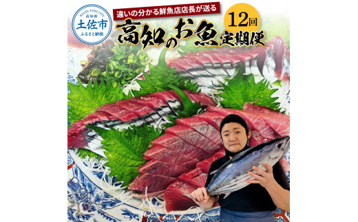 ＜12回定期便＞違いの分かる鮮魚店店長が送る 高知のお魚