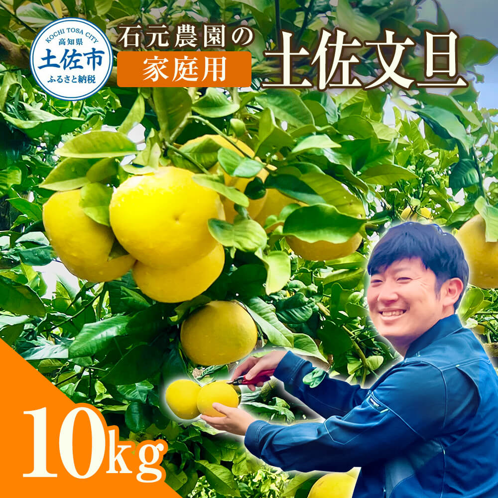 石元農園の土佐文旦　家庭用　約１０キロ（１４～２２玉