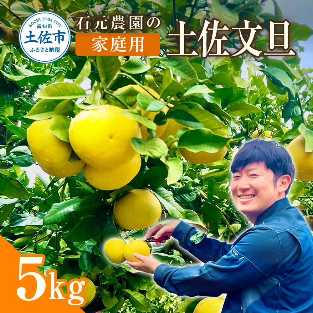 石元農園の土佐文旦 家庭用 約５キロ（７～１２玉） 期間