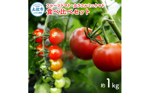 フルーツトマト食べくらべセット 1kg トマト フルーツトマ