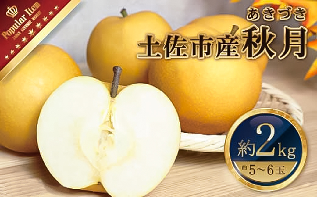 高知県土佐市産 梨（秋月）約2kg 5～6玉 期間限定 あきづき 