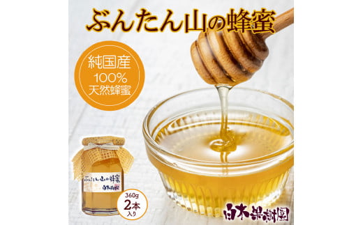 爽やかな香り広がる100%天然蜂蜜 ぶんたん山の蜂蜜　360g 2本