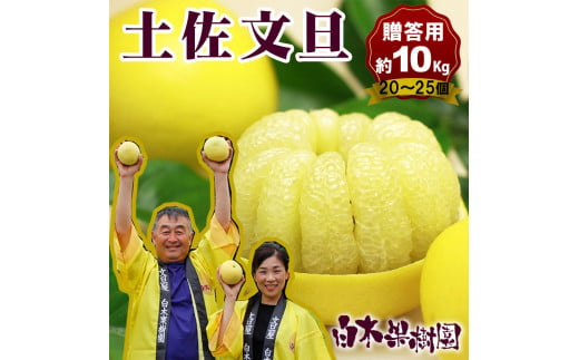 【果樹園直送】土佐文旦特選品贈答用　約10kg　L～2L　（20