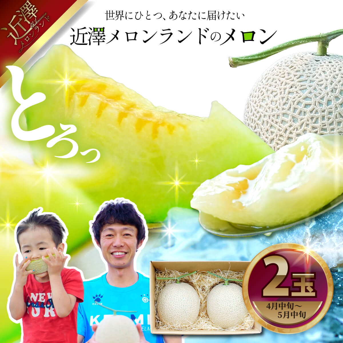 先行予約 メロン ２玉入り（1玉約1.4kg～1.8kg）青肉 2026年春