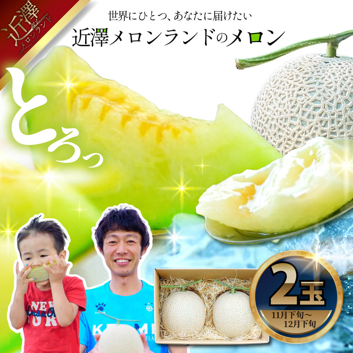 先行予約 メロン ２玉入り（1玉約1.4kg～1.8kg）青肉 2025年冬