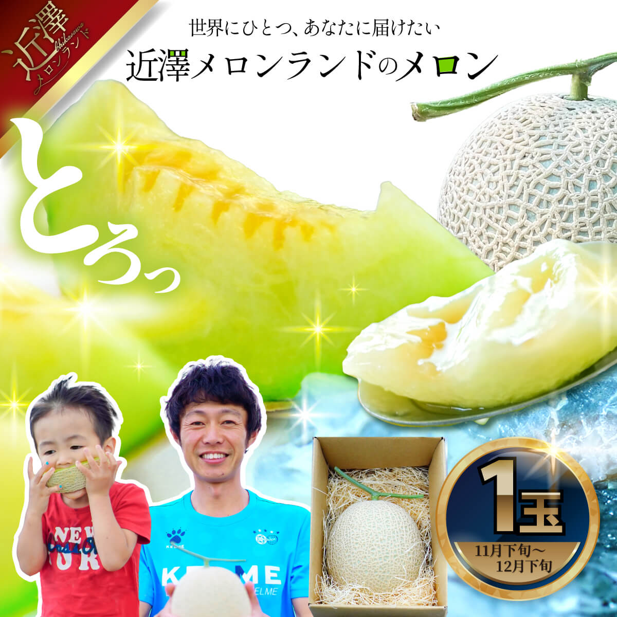 先行予約 メロン １玉入（約1.4kg～1.8kg）青肉 2025年冬発送 