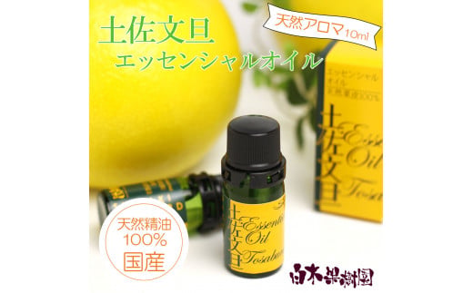 土佐文旦 エッセンシャルオイル 10ml 文旦 アロマオイル 精