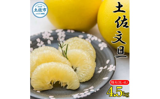 土佐文旦特大(3L-4L) サイズ4.5kg 大玉 ぶんたん ブンタン 果物