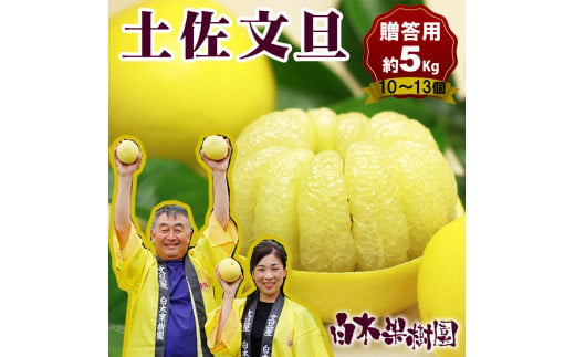 【果樹園直送】土佐文旦 特選品贈答用 約5kg L～2Lサイズ 10