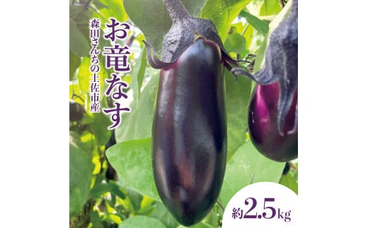 森田さんちの土佐市産お竜なす 約2.5kg 2.5キロ 29～34本 1本約