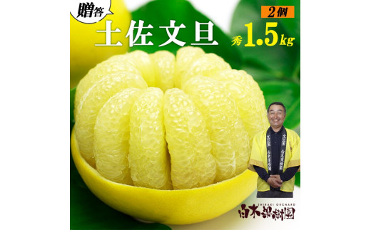 【果樹園直送】土佐文旦　4L　2個入り　1.5kg 大玉　特選品