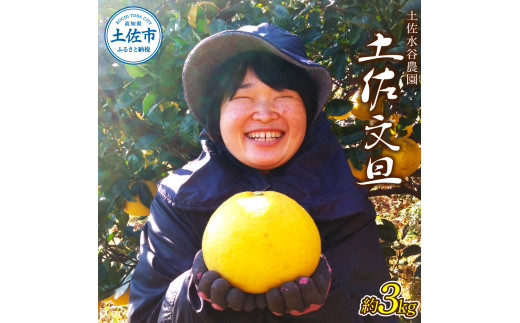 本場、高知県土佐市産！土佐水谷農園の露地土佐文旦3kg 3～