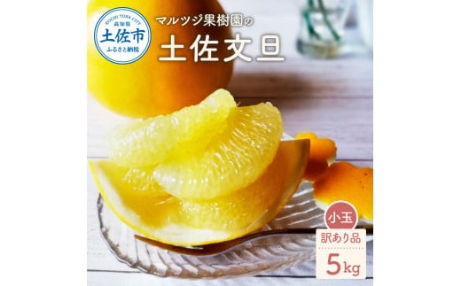 マルツジ果樹園の土佐文旦 訳あり品(小玉) 約5キロ 5kg M～L
