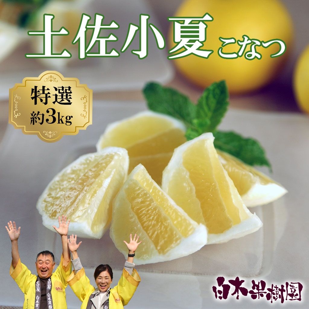 ＜果樹園直送＞土佐小夏 特選品贈答用 約3kg 3キロ こなつ 