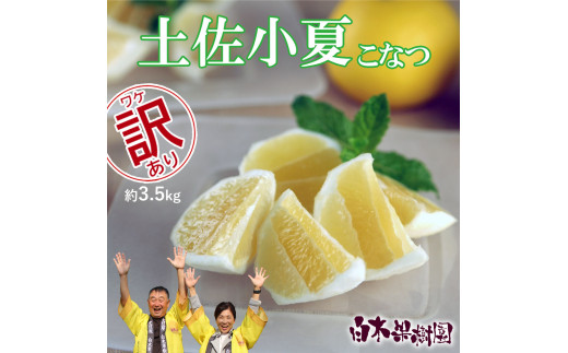 先行予約　＜白木果樹園＞ 土佐小夏 訳ありご家庭用 約3.5kg