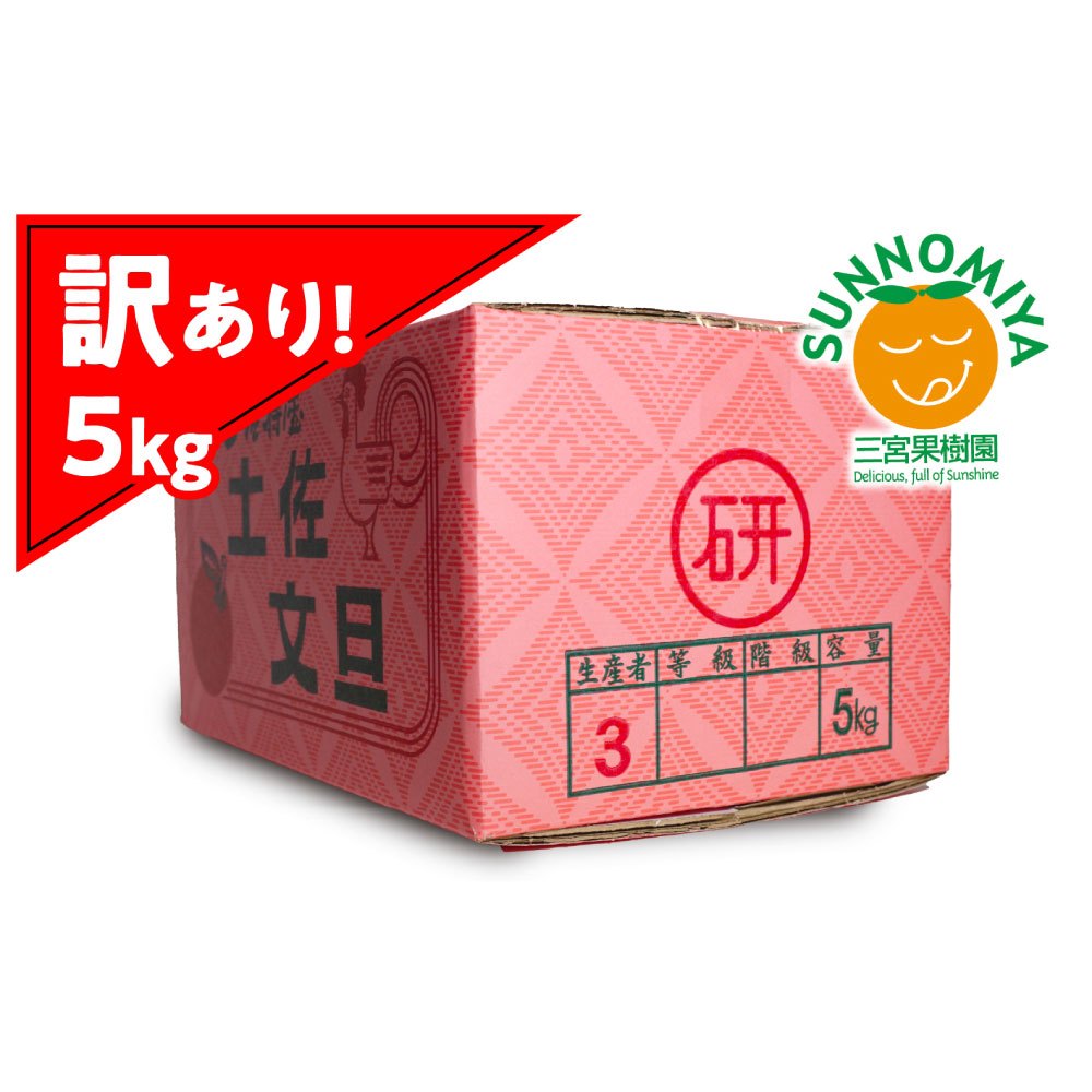 三宮果樹園の土佐文旦 訳あり 5kg ぶんたん ブンタン 5キロ 1