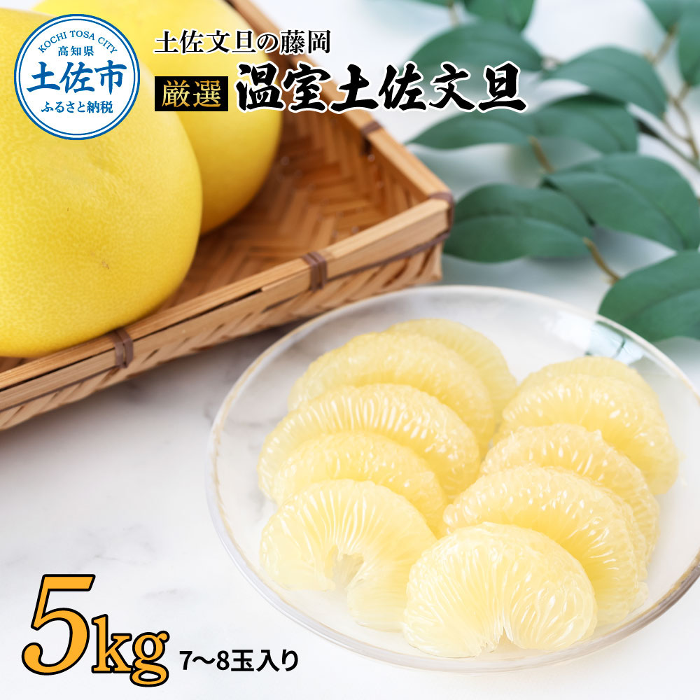 ＜土佐文旦の藤岡＞先行予約　厳選 温室土佐文旦 5kg (7～8