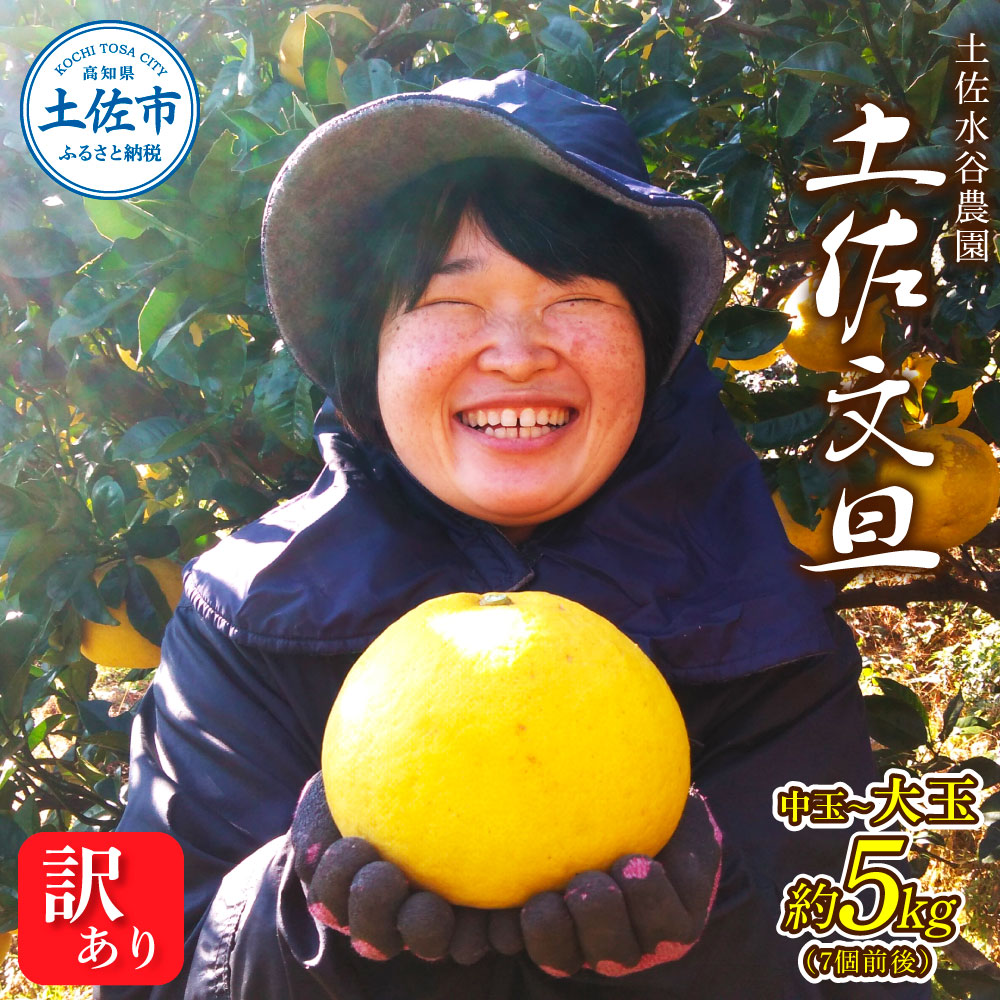 本場、高知県土佐市産！土佐水谷農園の露地土佐文旦 家庭