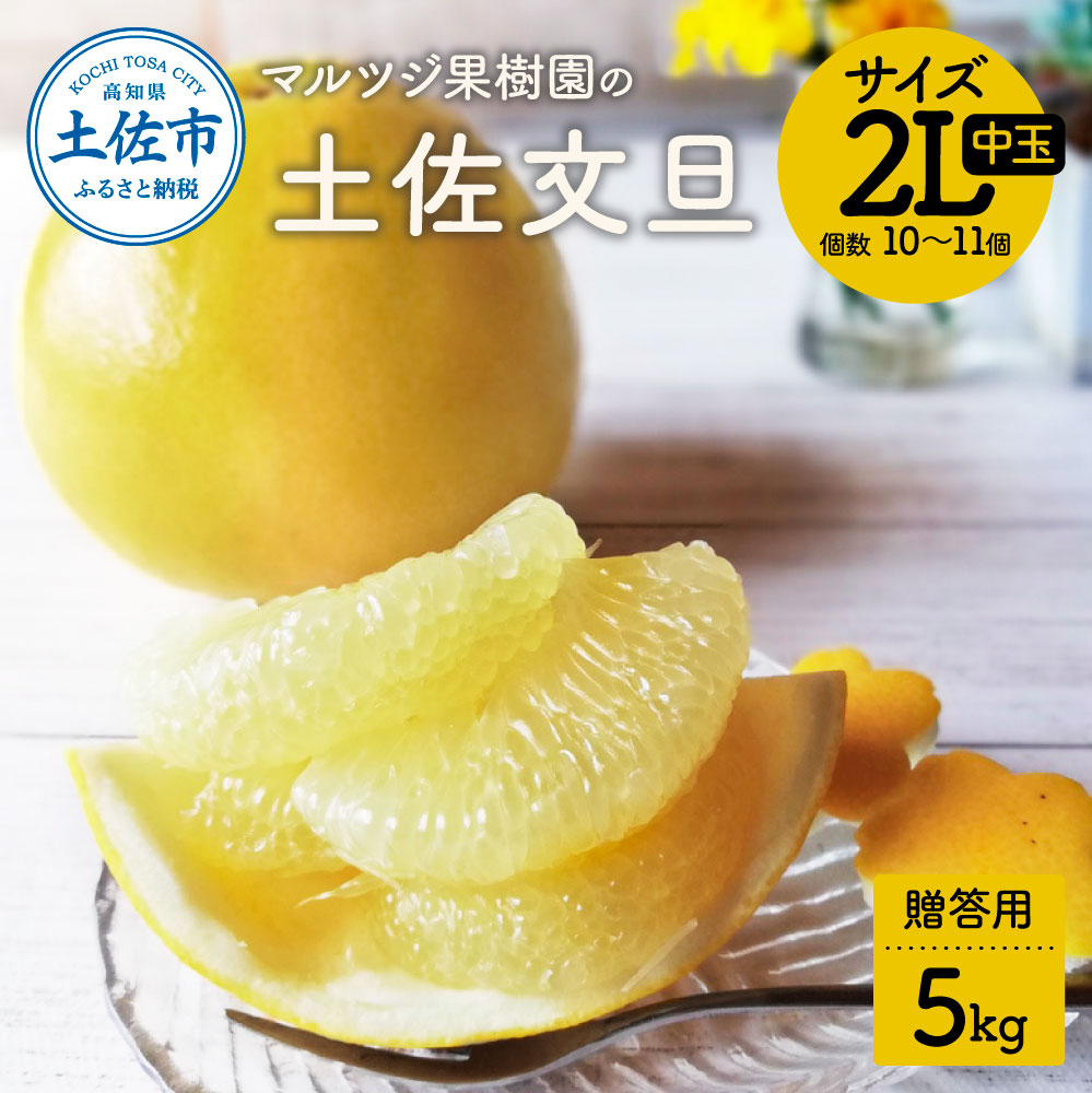 【先行予約】マルツジ果樹園の土佐文旦 贈答用(中玉) 約5kg 