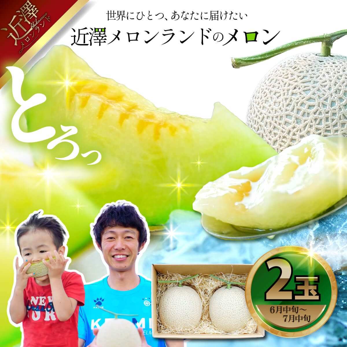 先行予約 メロン ２玉入り（1玉約1.4kg～1.8kg）青肉 2026年夏