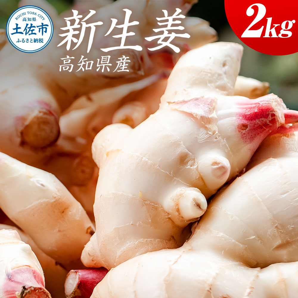 ハウス新生姜 2kg 2キロ しょうが ショウガ 新鮮野菜 野菜 お