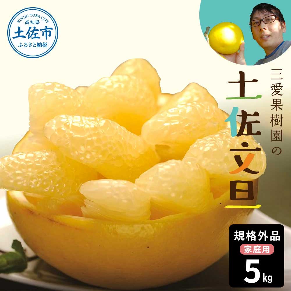 文旦 約5kg 5キロ L～4Lサイズ 