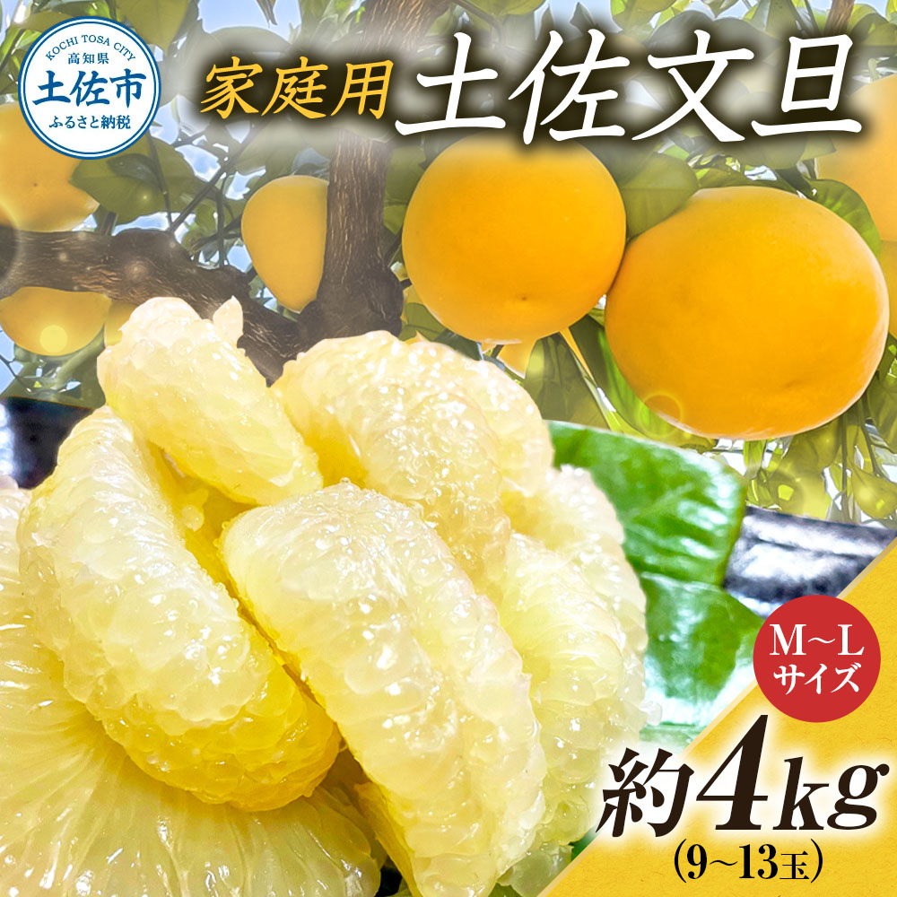 文旦 約4kg M～Lサイズ 9～13玉 ぶんたん ブンタン フルーツ 