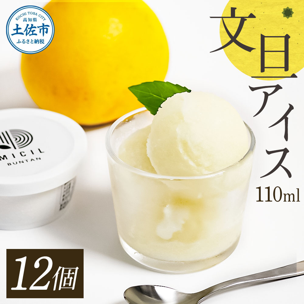 文旦アイス 12個入り 1個110ml ブンタン ぶんたん フルーツ 果