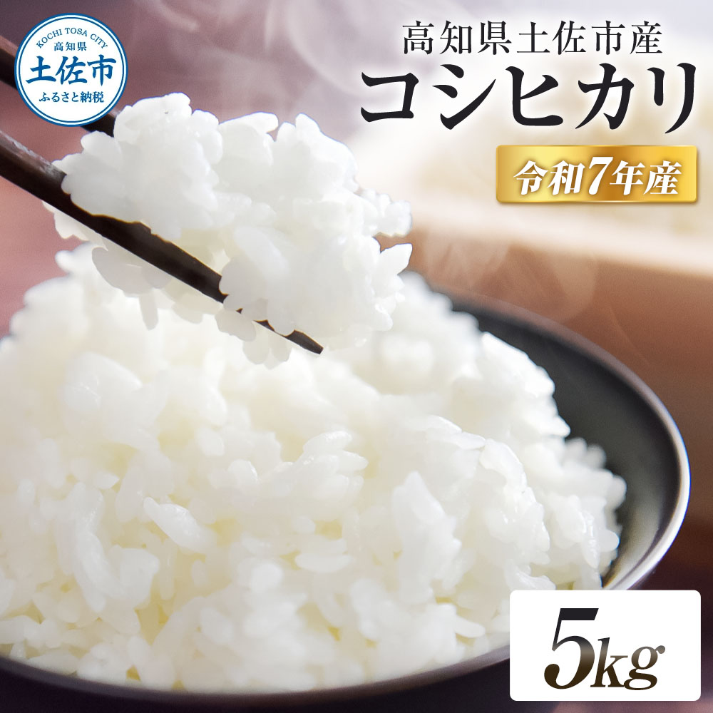コシヒカリ 令和7年産 5kg 5キロ 精米 白米 お米 ご飯 ごはん 