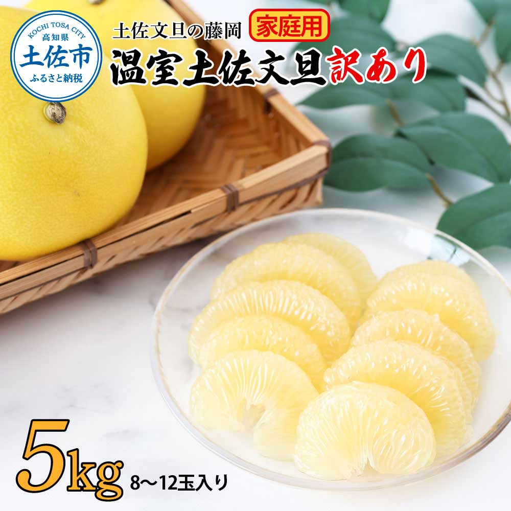 ＜土佐文旦の藤岡＞訳あり 温室土佐文旦 家庭用 5kg (8～12玉