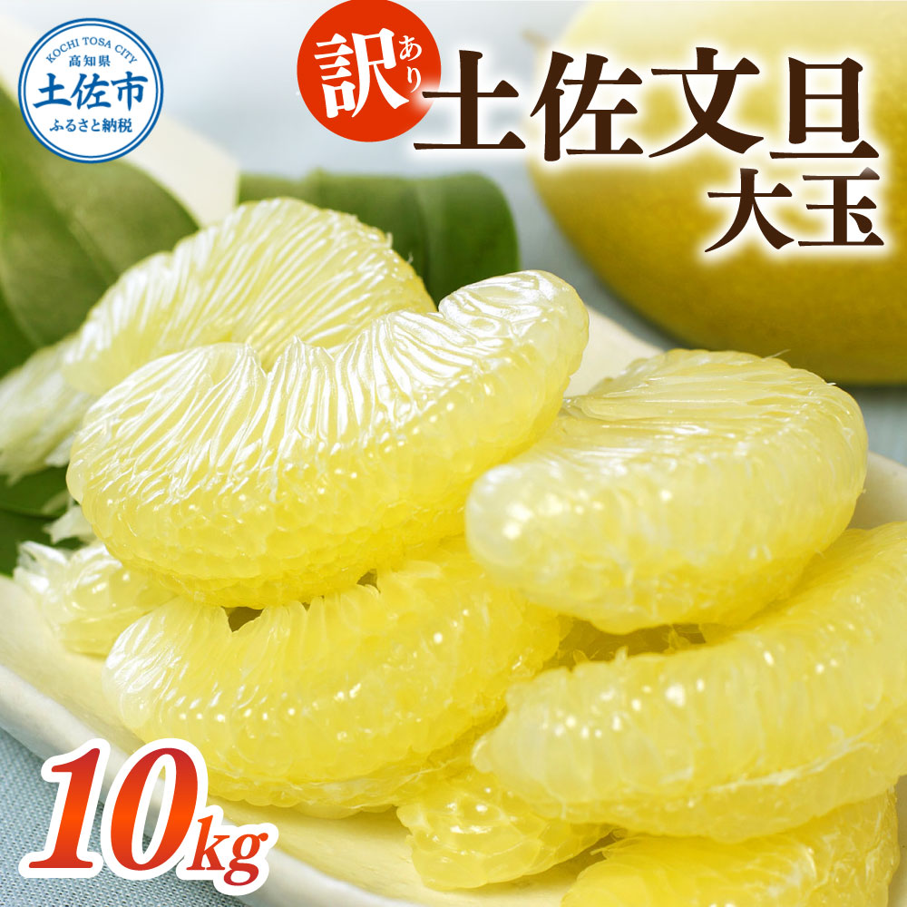 ＜土佐市産＞ 土佐文旦 大玉 訳あり 約10kg（3L～2Lいずれか