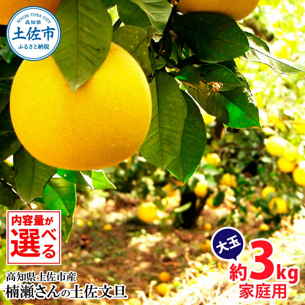 楠瀬さんの土佐文旦 家庭用大玉 約3kg 約3キロ 4L～2L ぶんた
