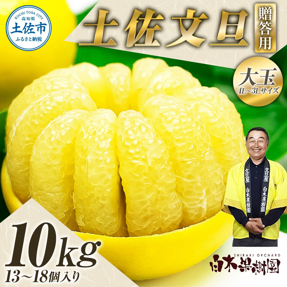＼果樹園直送／土佐文旦 約10kg 4L～3Lサイズ 13～18個入り 大