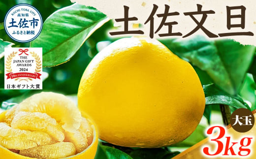 【日本ギフト大賞2024受賞】【先行予約】文旦 大玉3kg（3L～2