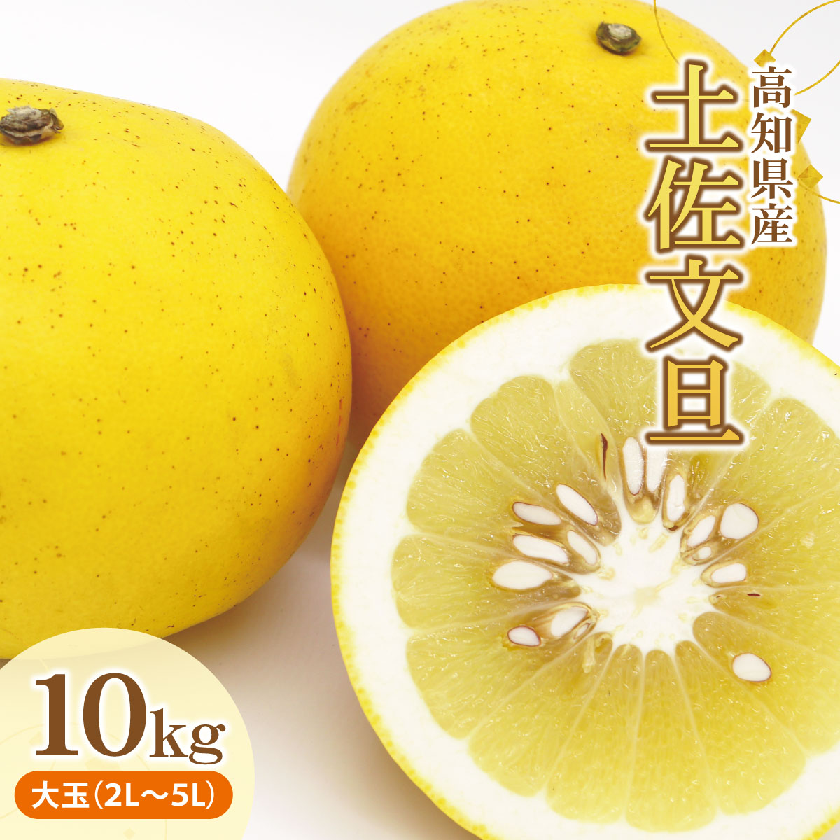 土佐文旦（ぶんたん）（大玉：２Ｌ～５Ｌ混合）約１０ｋ