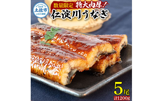 【数量限定！】仁淀川特大肉厚うなぎ5尾セット　鰻 うなぎ