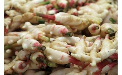 【期間限定】　新生姜＆らっきょう酢セット