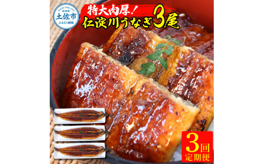 【3回定期便】仁淀川特大肉厚うなぎ3尾セット 定期コース 3