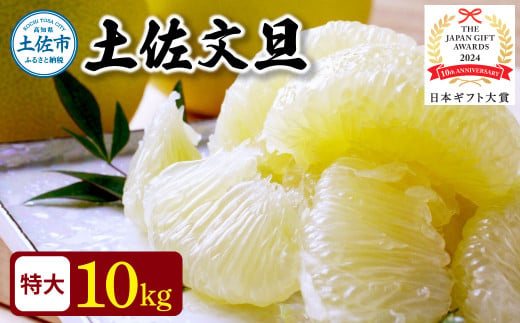 【日本ギフト大賞2024受賞】先行予約 園主こだわり土佐文旦