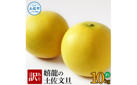 ＜2026年1月下旬より順次発送＞訳あり 嬉龍の土佐文旦 約10