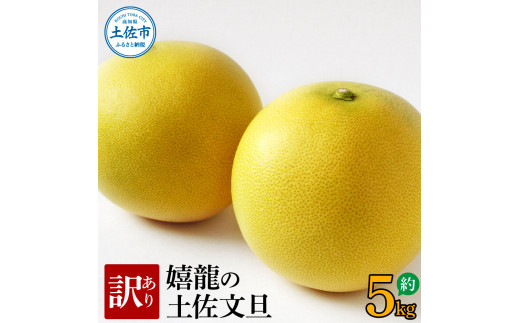 ＜2026年1月下旬より順次発送＞訳あり 嬉龍の土佐文旦 約5キ